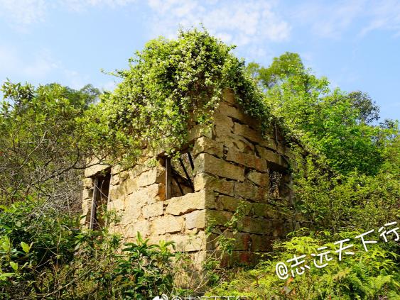 寻访福建泉州金狮寨寨墙巨大山石砌成周长200米
