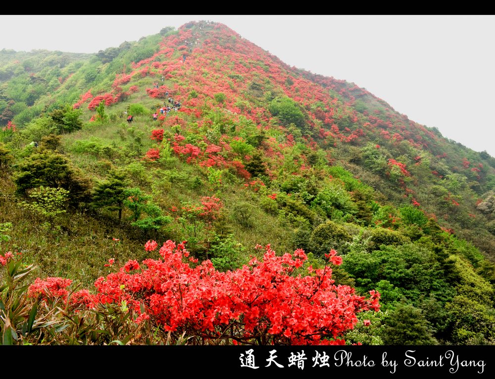 秦皇岛八达集团董事长