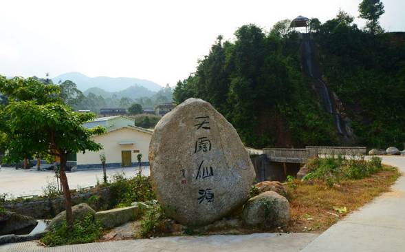 开平大沙天露山,杜鹃花开待客来……赶快约起!