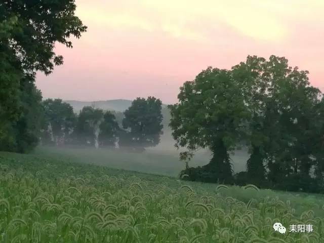 【劲爆】正源学校罗胡子在美国搞了个农场,太美了!现