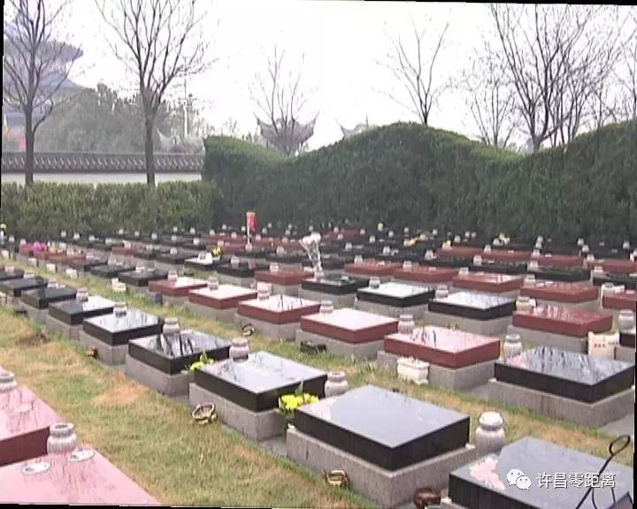 清明许昌市玉皇岭墓原副主任 李芙丽:免费的节地生态葬,这个是无条件