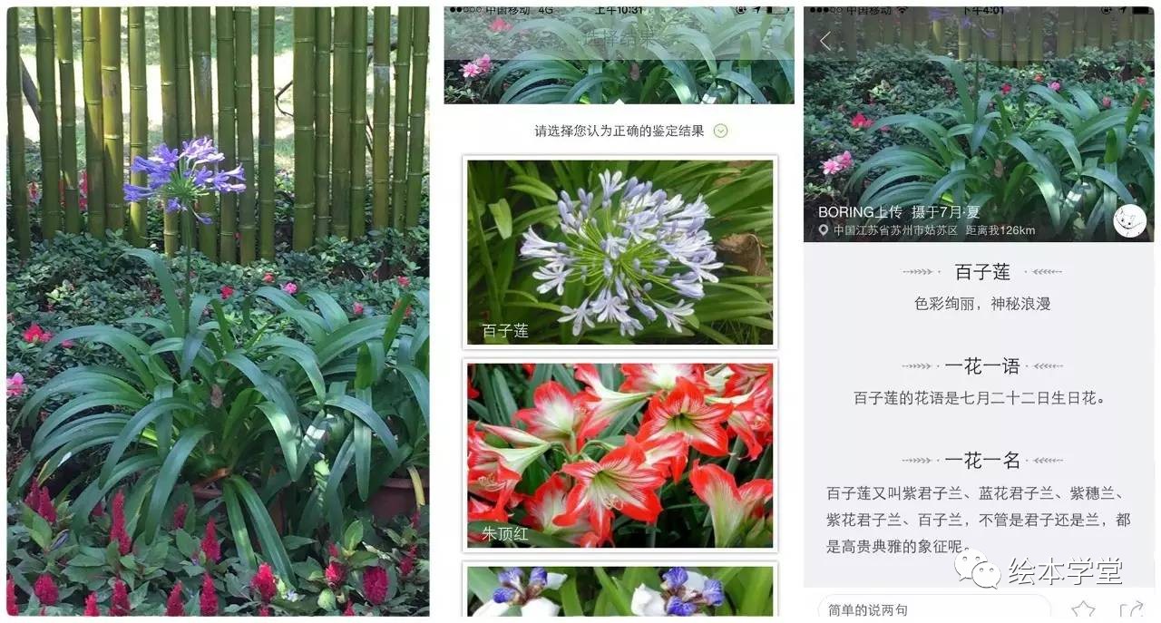 最后介绍几本和植物有关的绘本给大家