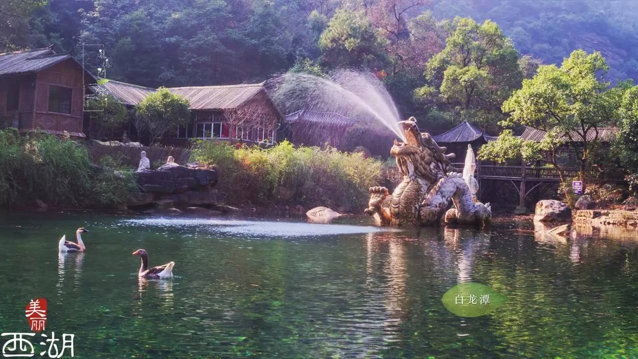 白龙潭水景被称是杭州的九寨沟,潭山景阳刚俊美,植被茂盛,别有一番