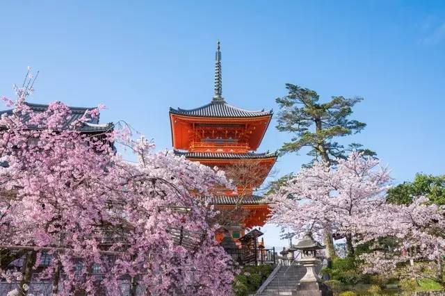 清水寺 [东山区]