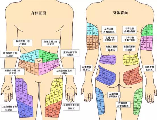 但要注意大腿内侧有较多的血管和神经分布,不适宜注射.