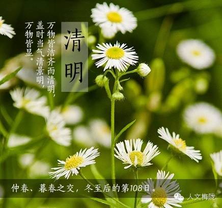 【倡议】清明节"文明祭扫",我们共同的责任!