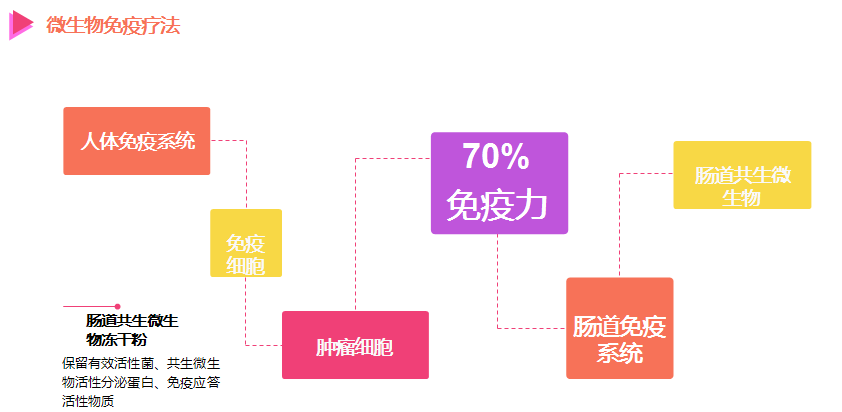 肠道是人体细胞数量最大的免疫器官,肠道也是人体重要的免疫器官,人体