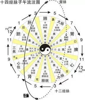 附完整十四经络子午流注图