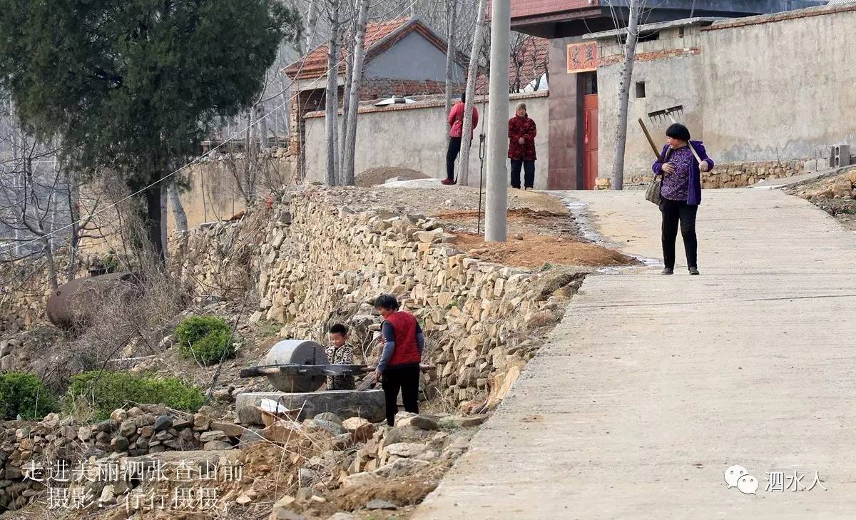 来自美丽泗张镇查山前村的温馨情景