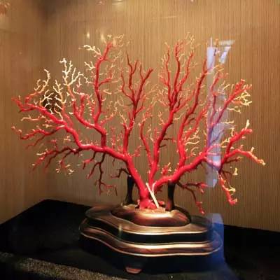 如何把珊瑚制作成饰品_制作工艺品的珊瑚种类_台湾珊瑚饰品