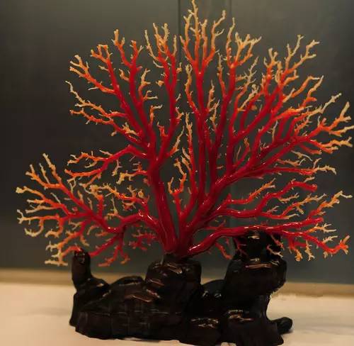 如何把珊瑚制作成饰品_制作工艺品的珊瑚种类_台湾珊瑚饰品