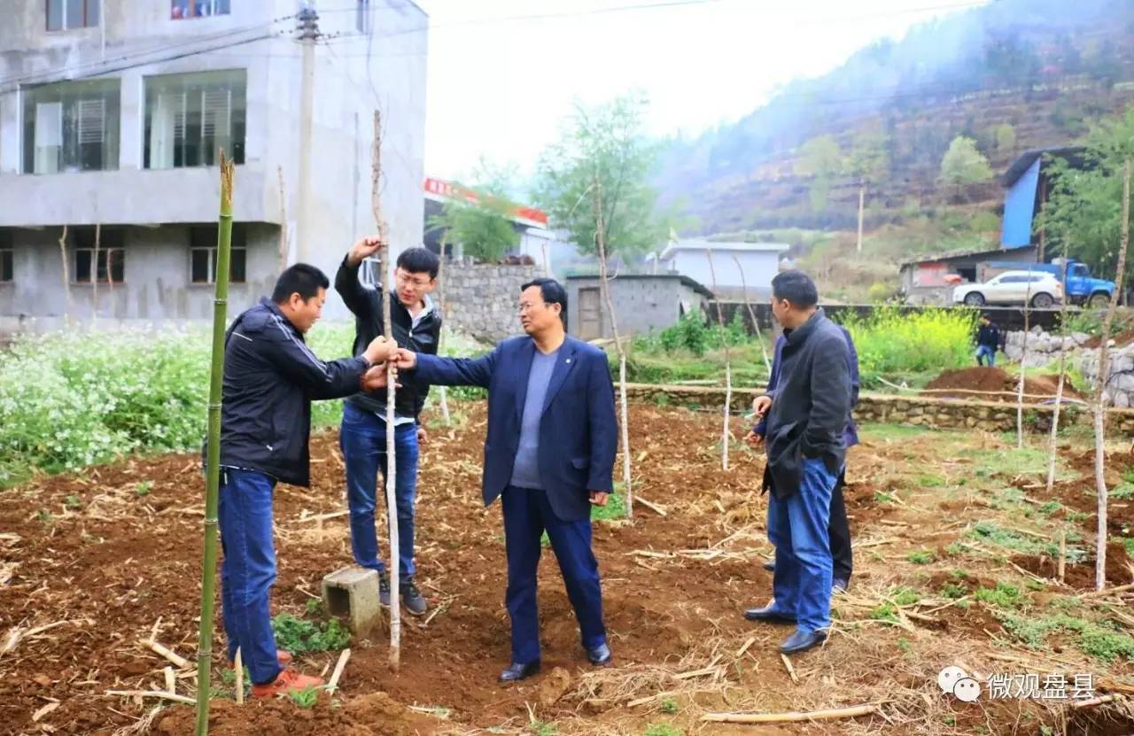 盘县人口最多的镇_盘县老厂镇狗跳岩(2)