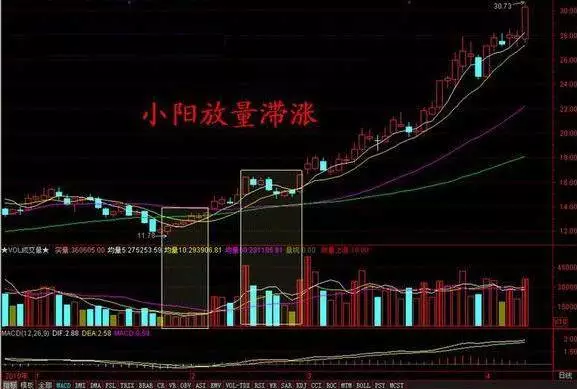 上海股神自创短线选股要点，一旦学懂轻松抓涨停