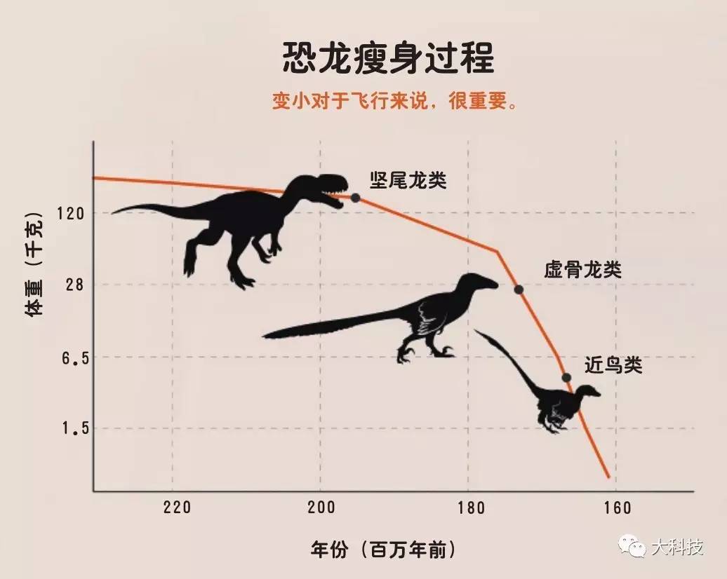 恐龙是如何变成鸟的?