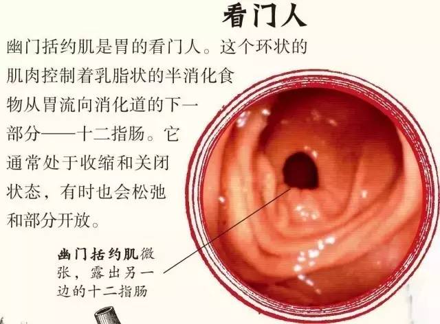 开团啦惊叫惊叫孩子必会兴奋地惊叫源于人类史上的第