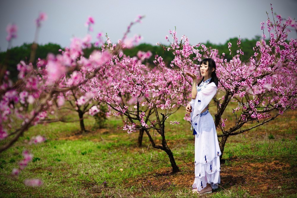 "仙女峡 永修凤凰山桃花园"一日游!