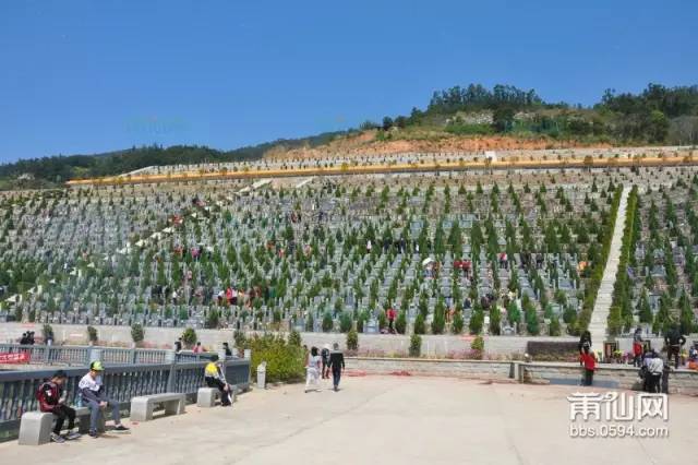 南日岛有多少人口_莆田南日岛找到优质淡水目前已完钻的6口井日出水量共计