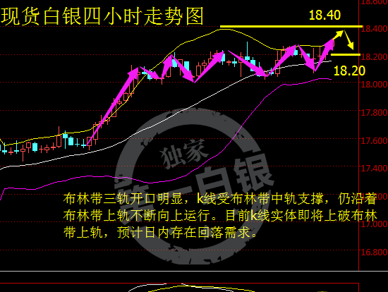 蔡邦国：金、银看涨情绪高涨，谨防多头承压回落