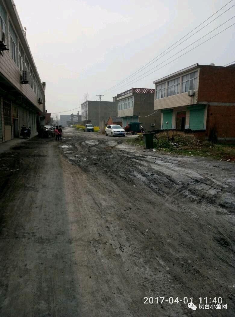 网友爆料:岳张集镇塘沿村道路泥泞不堪,无人问津