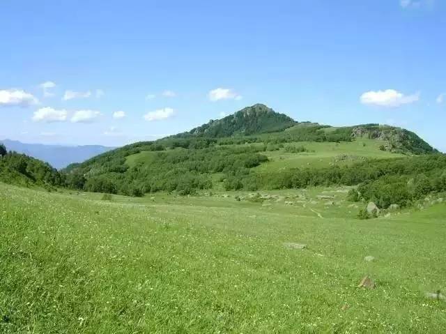 穿越鸡窝子在高山草甸放风筝