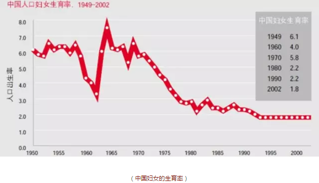 出生率越高人口数量越_工龄越长退休金越高吗(3)