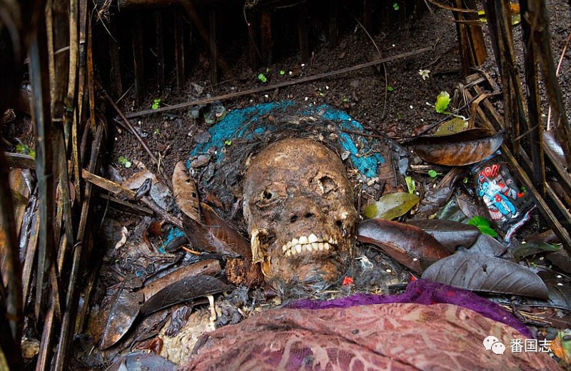 印尼巴厘岛古村庄葬礼习俗:遗体腐烂后堆放