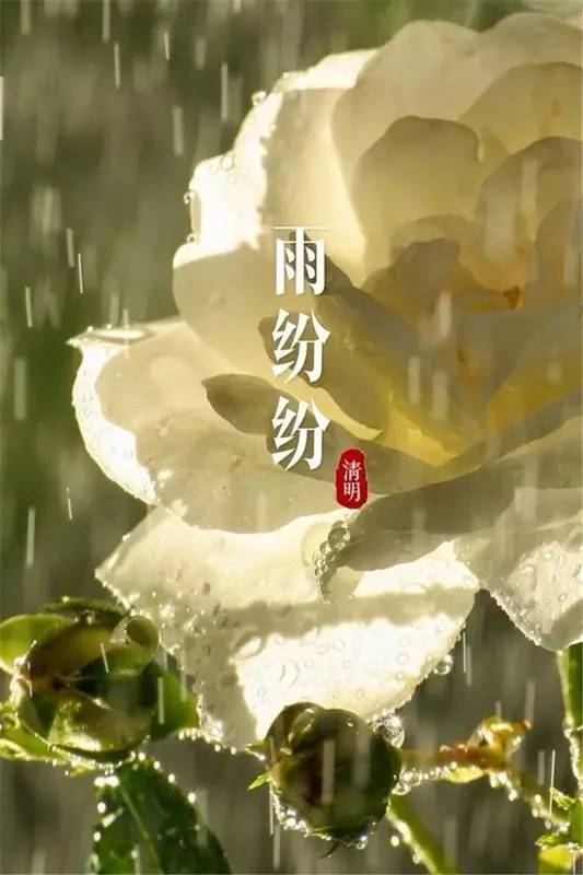 靖边诗人清明节祭父:今夜雨霖霖 泪洒长城村