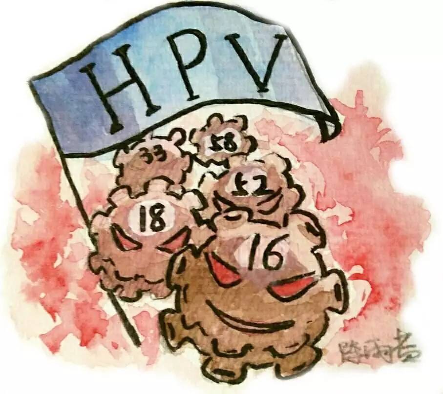 低危型:hpv6 11 40 42 43 44 53 54 61 72 73,81