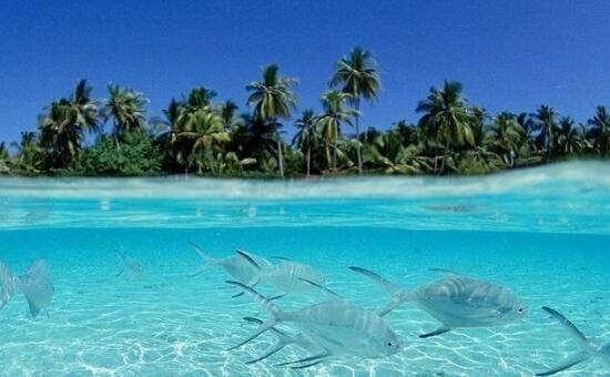 苏梅岛的岛屿和海滩旅游攻略