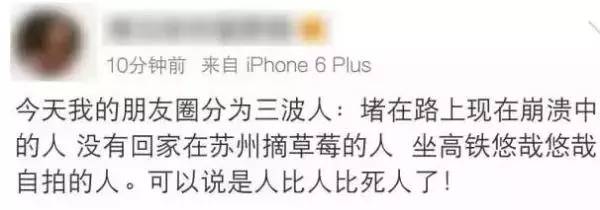 从白堵到黑！据说，不少人昨晚都是在苏通大桥上过夜的……