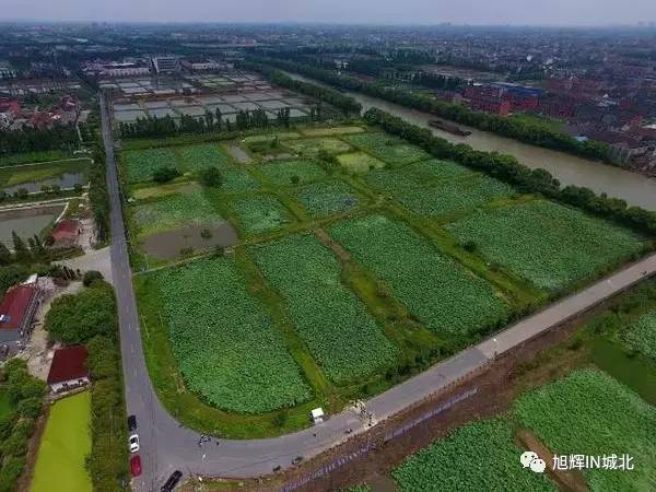 从化区城郊街荷村人口_从化区城郊中学图片(2)