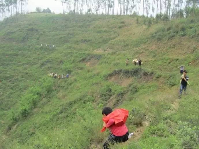 岑溪人口数_岑溪东山公园