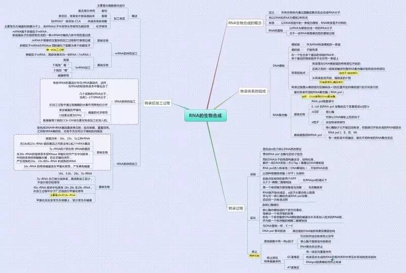 生物化学思维导图