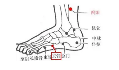 京骨穴属足太阳膀胱经,在足外侧,取穴时,正坐垂足着地或俯卧位,在足跗