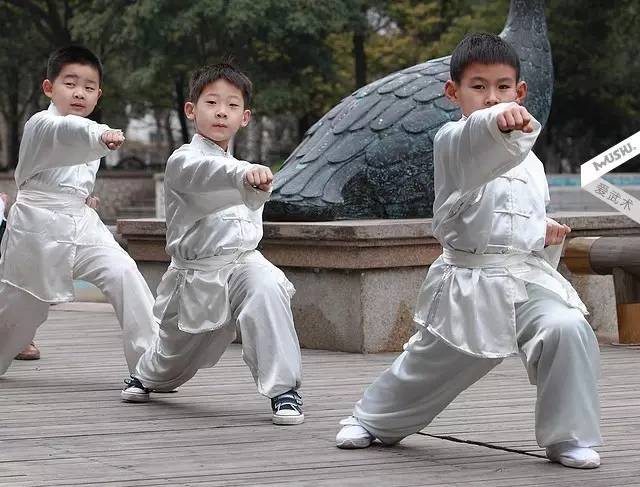 学习武术,就是给孩子打开了一扇通往中国传统文化的窗口.