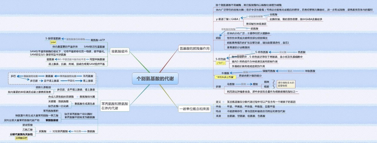 生物化学思维导图