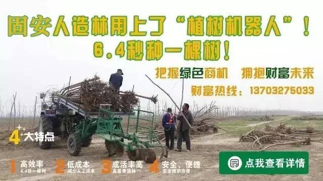 固安人口流出_固安一中图片(2)