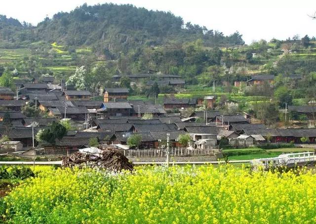 革家寨位于凯里市城北的龙场镇境内,居住着500多口革家人,寨子被群山