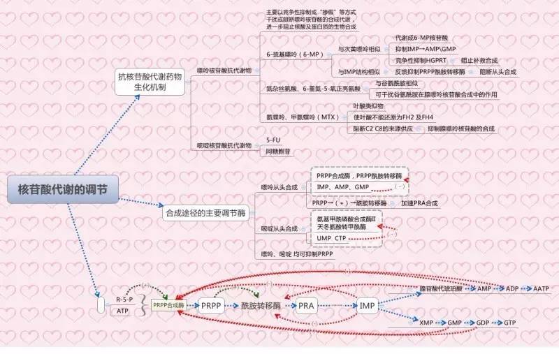 生物化学思维导图