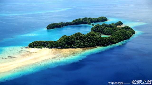 太平洋最纯净的海洋生态--帕劳