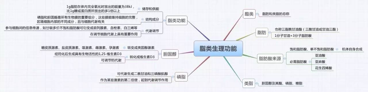 生物化学思维导图