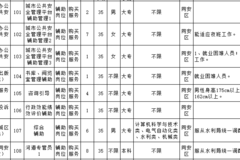 同安招聘信息_待遇优 同安区域急招金融业务经理 找工作的你不要错过(4)