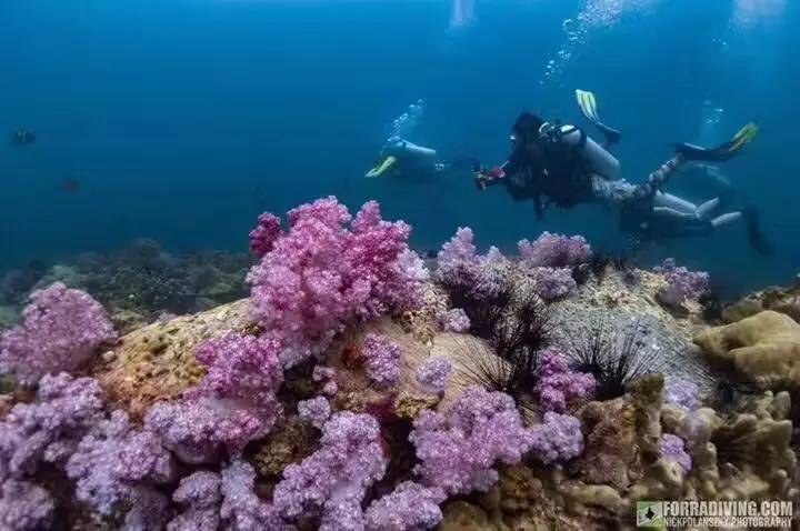 最南端的 小马尔代夫 --隐世绝美,还是个潜水天堂