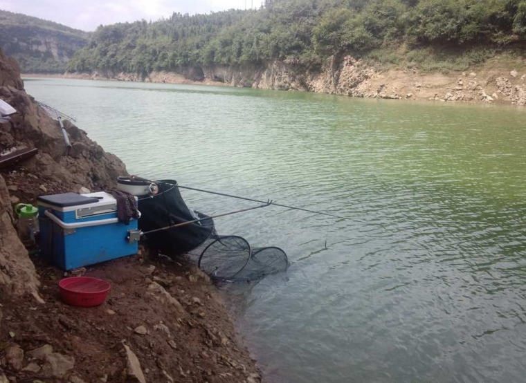 水库钓鱼选择钓位的技巧