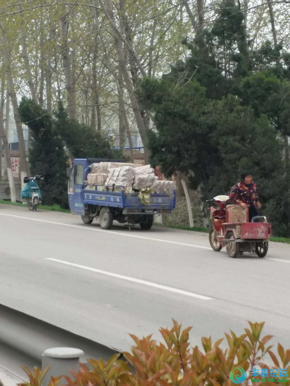 丰县有多少人口_丰县欢口陈大庄的这个季节实在让人眼馋,看得口水都流出来了(2)