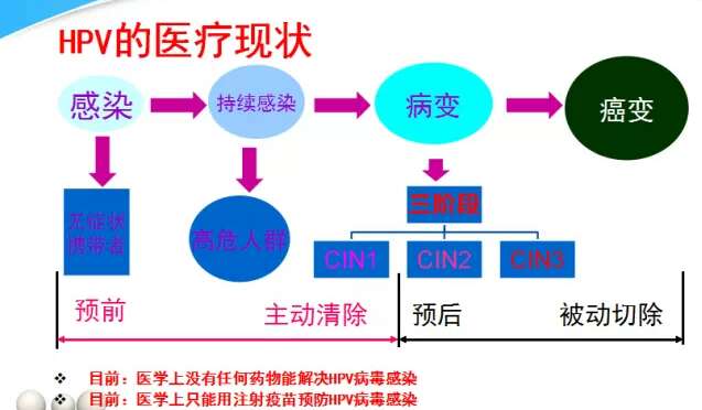 买保险没告知hpv感染 hpv转阴后可以买保险了吗