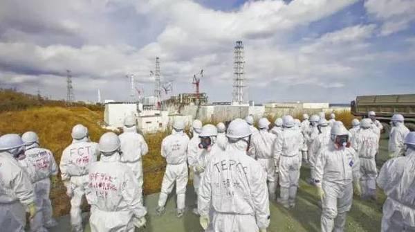 日本福岛核辐射 追踪人类灾难后的变异狂欢