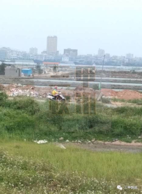 陆丰甲东雨亭村人口_陆丰甲东奎湖村图片