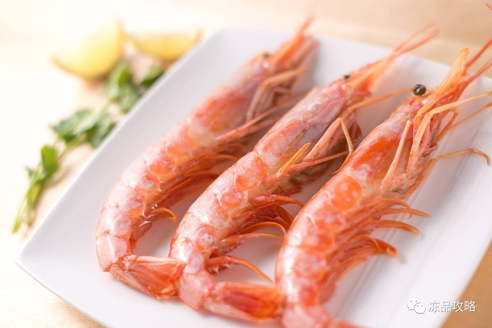 阿根廷红虾质量调查引争议，孰是孰非难分辨