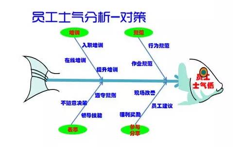 【知识点】鱼骨图"七步"详解